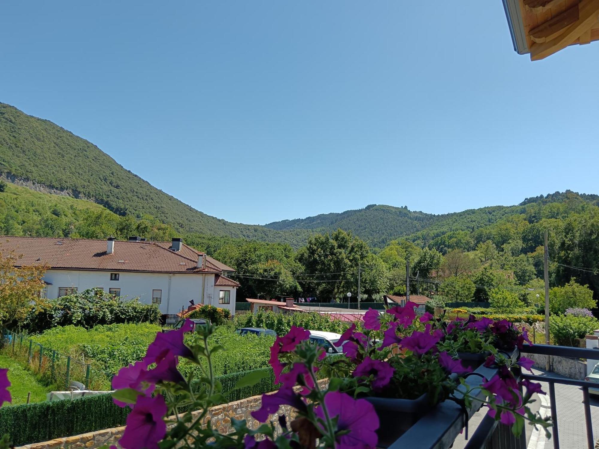 Urdaibai Mungabe Apartment Busturia Екстериор снимка